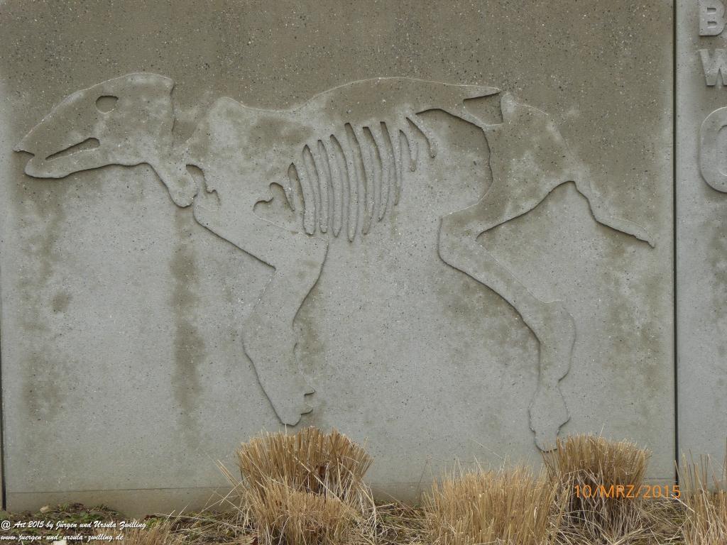 Philosophische BildwanderungÖlschieferweg – Waldwanderung im Süden der Grube Messel - Odenwald