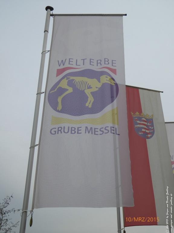 Philosophische BildwanderungÖlschieferweg – Waldwanderung im Süden der Grube Messel - Odenwald