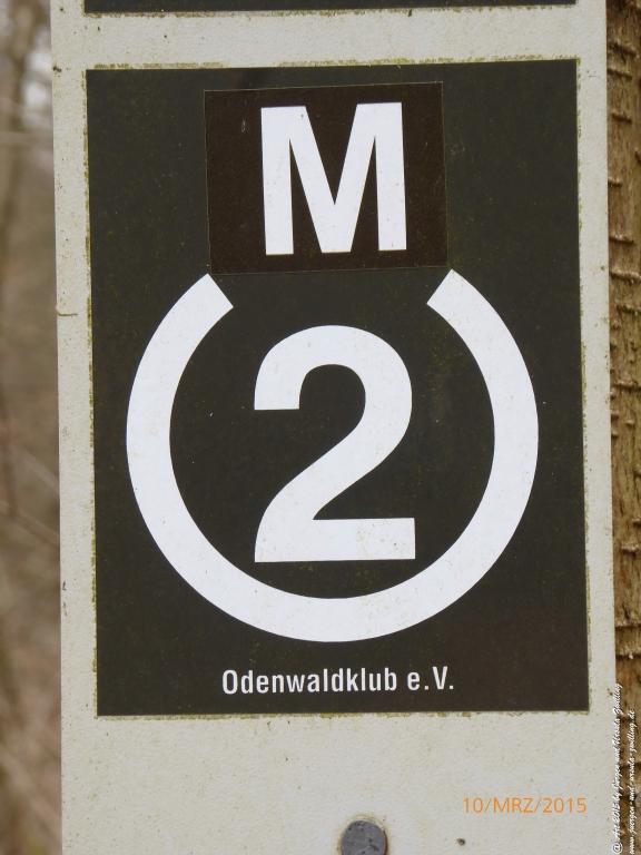 Philosophische BildwanderungÖlschieferweg – Waldwanderung im Süden der Grube Messel - Odenwald