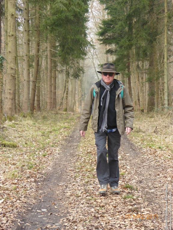 Philosophische BildwanderungÖlschieferweg – Waldwanderung im Süden der Grube Messel - Odenwald
