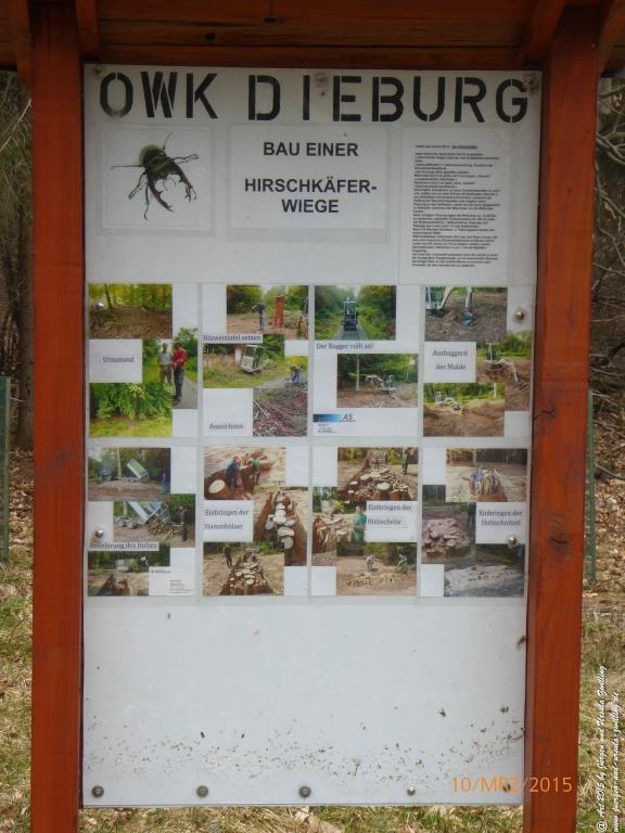 Philosophische BildwanderungÖlschieferweg – Waldwanderung im Süden der Grube Messel - Odenwald