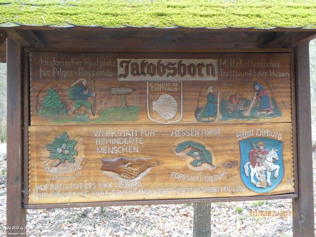 Philosophische BildwanderungÖlschieferweg – Waldwanderung im Süden der Grube Messel - Odenwald