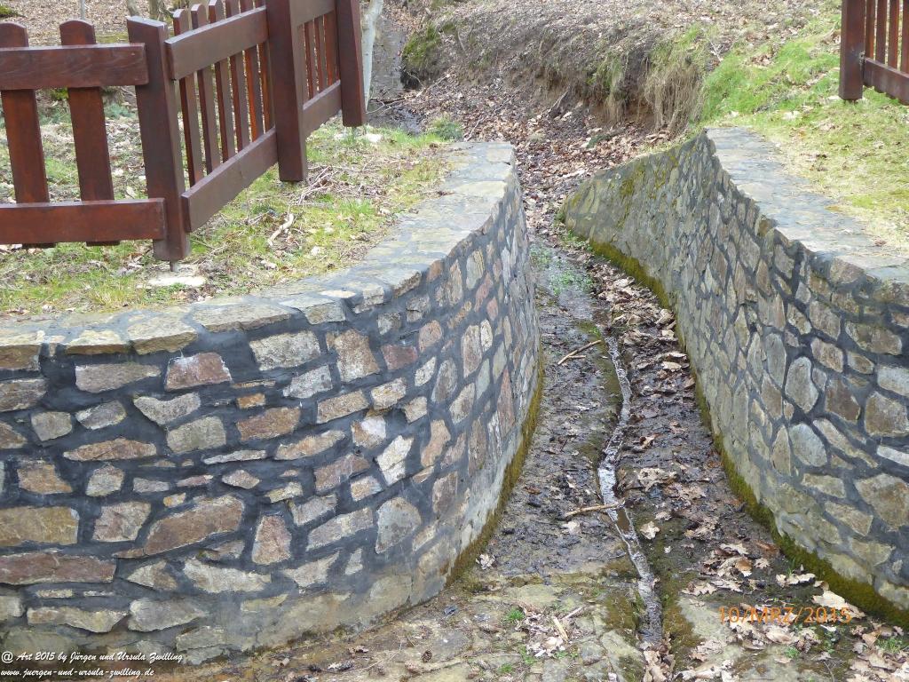 Philosophische BildwanderungÖlschieferweg – Waldwanderung im Süden der Grube Messel - Odenwald