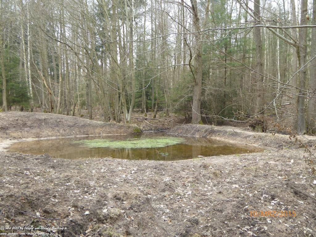 Philosophische BildwanderungÖlschieferweg – Waldwanderung im Süden der Grube Messel - Odenwald