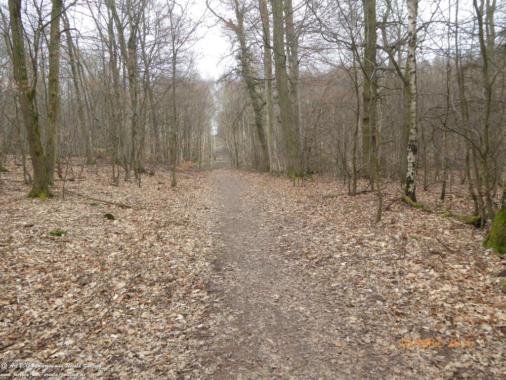Philosophische BildwanderungÖlschieferweg – Waldwanderung im Süden der Grube Messel - Odenwald