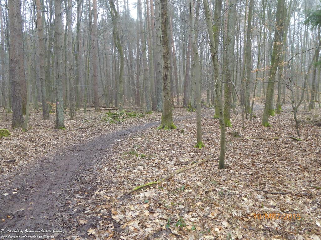 Philosophische BildwanderungÖlschieferweg – Waldwanderung im Süden der Grube Messel - Odenwald