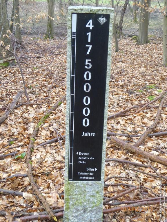 Philosophische BildwanderungÖlschieferweg – Waldwanderung im Süden der Grube Messel - Odenwald