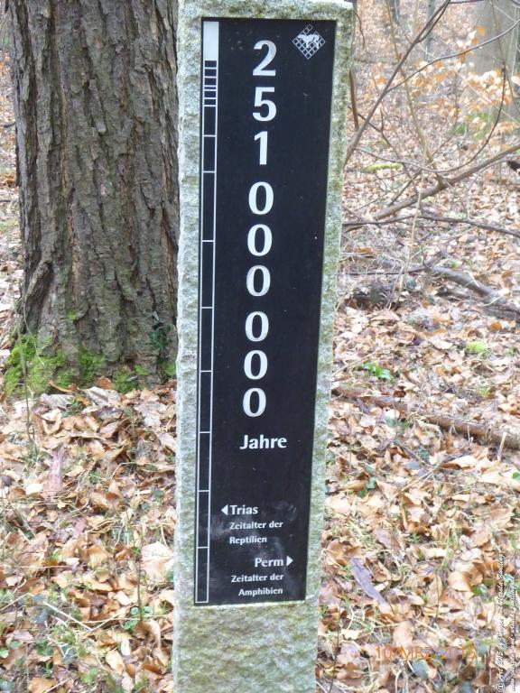 Philosophische BildwanderungÖlschieferweg – Waldwanderung im Süden der Grube Messel - Odenwald