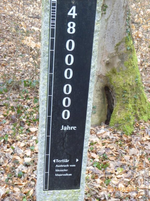 Philosophische BildwanderungÖlschieferweg – Waldwanderung im Süden der Grube Messel - Odenwald