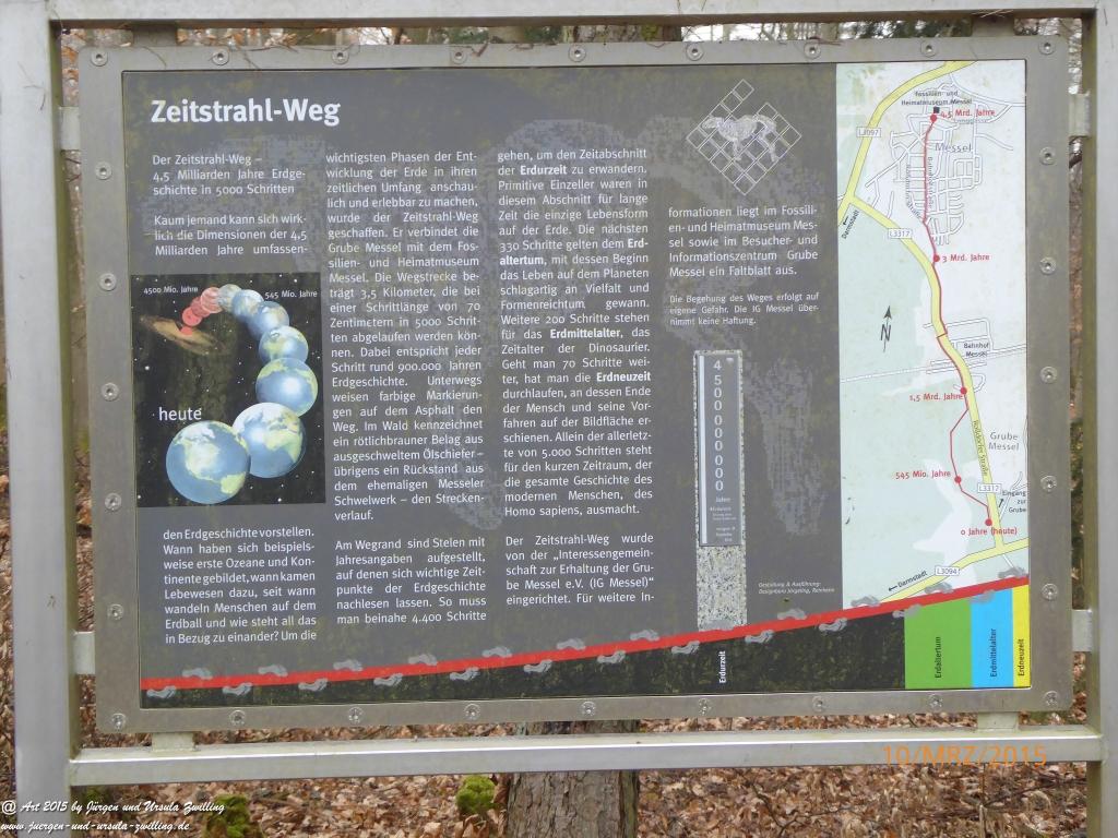 Philosophische BildwanderungÖlschieferweg – Waldwanderung im Süden der Grube Messel - Odenwald