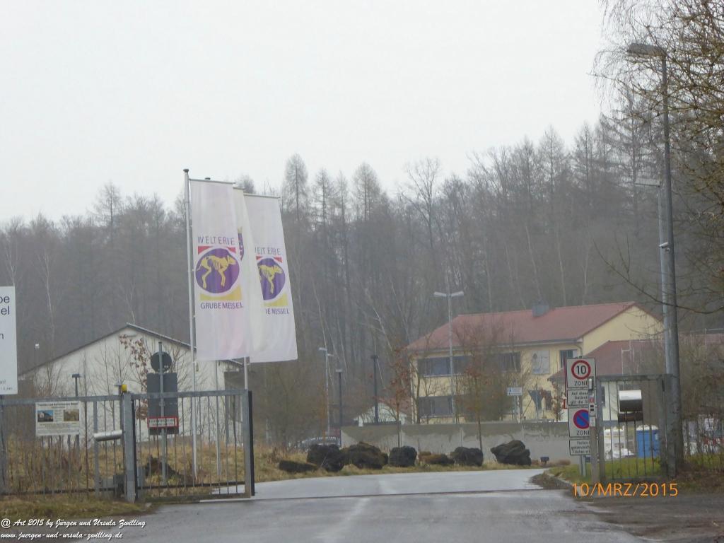 Philosophische BildwanderungÖlschieferweg – Waldwanderung im Süden der Grube Messel - Odenwald