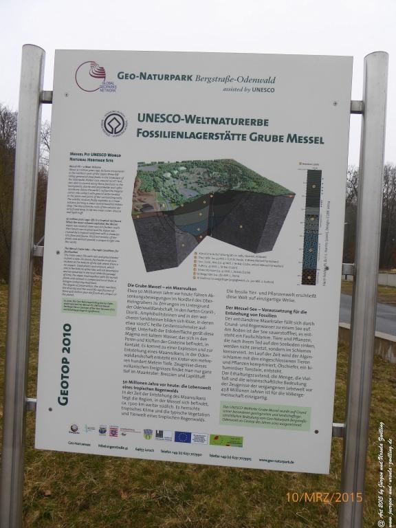 Philosophische BildwanderungÖlschieferweg – Waldwanderung im Süden der Grube Messel - Odenwald