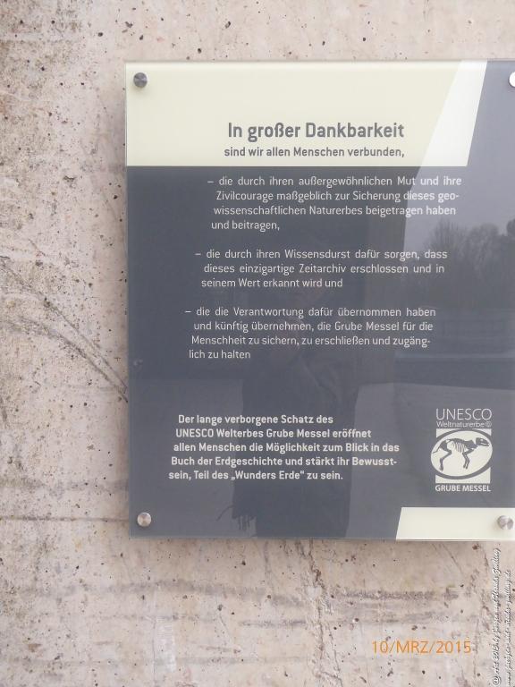 Philosophische BildwanderungÖlschieferweg – Waldwanderung im Süden der Grube Messel - Odenwald