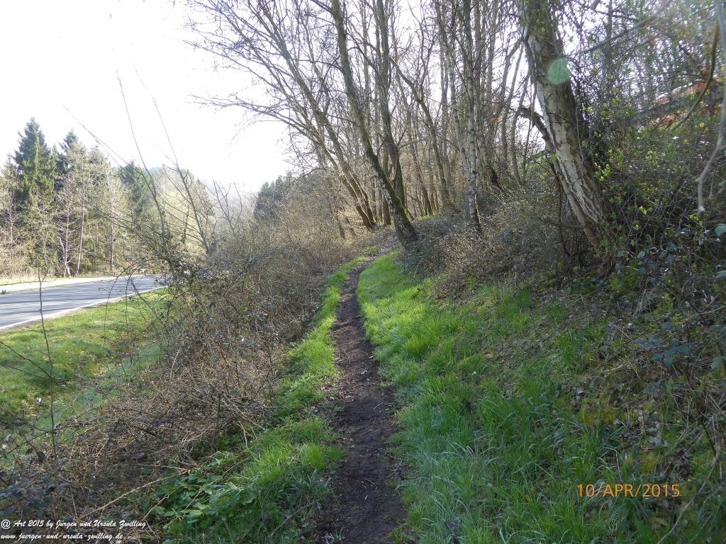 Philosophische Bildwanderung Traumschleife Rheingold