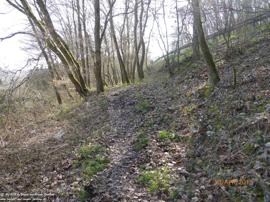 Philosophische Bildwanderung Traumschleife Rheingold