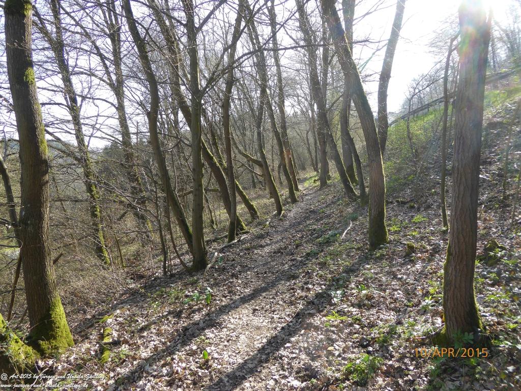 Philosophische Bildwanderung Traumschleife Rheingold