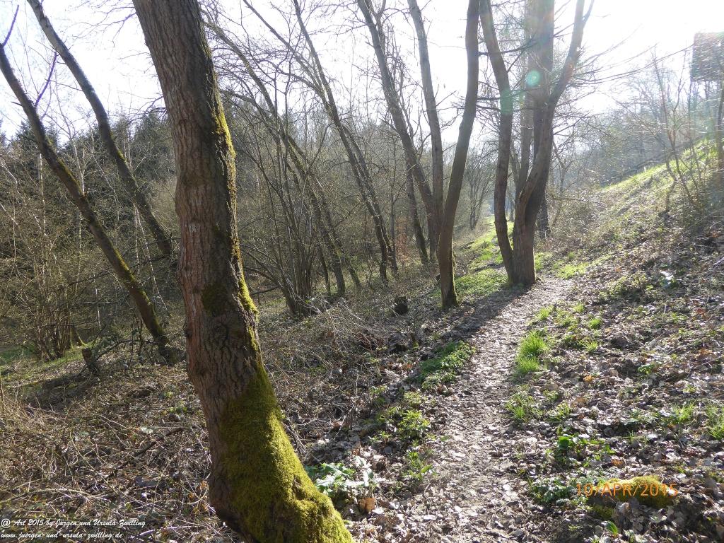 Philosophische Bildwanderung Traumschleife Rheingold