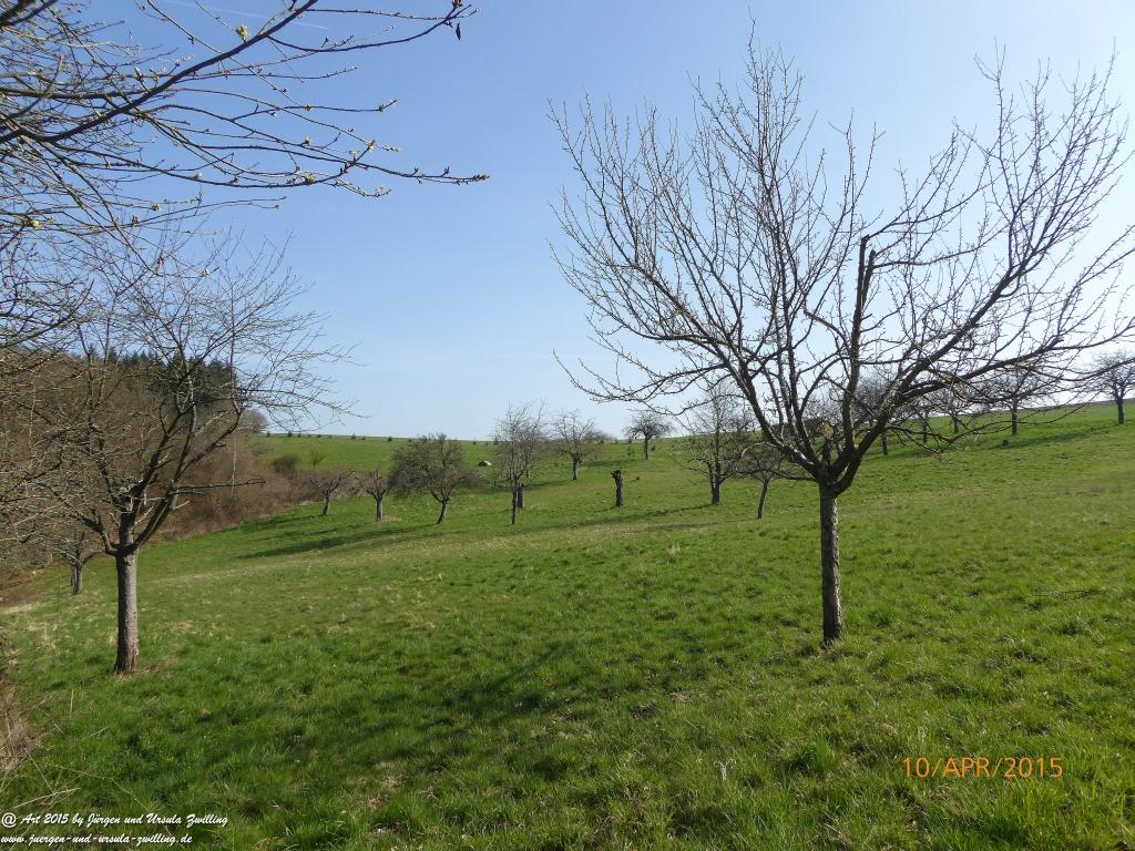 Philosophische Bildwanderung Traumschleife Rheingold