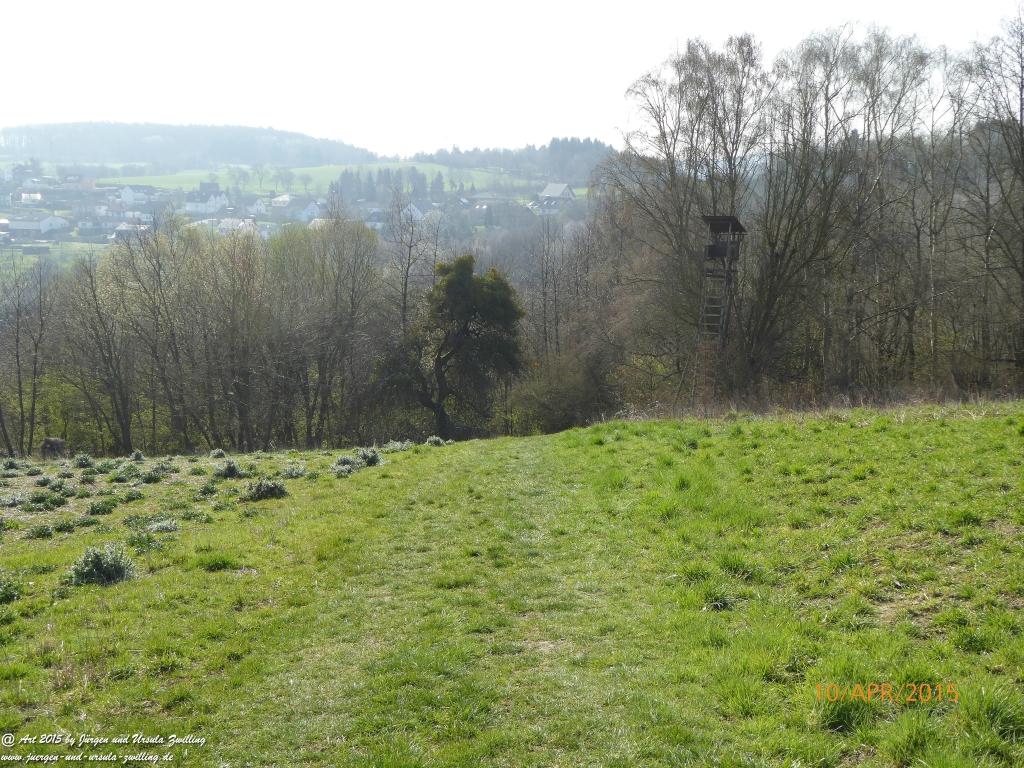 Philosophische Bildwanderung Traumschleife Rheingold