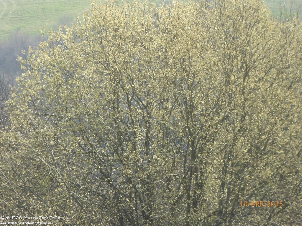 Philosophische Bildwanderung Traumschleife Rheingold