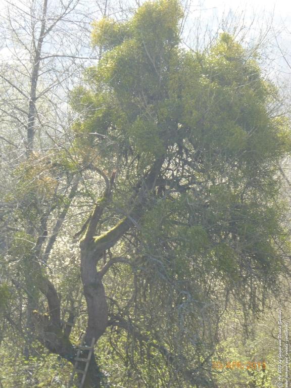 Philosophische Bildwanderung Traumschleife Rheingold