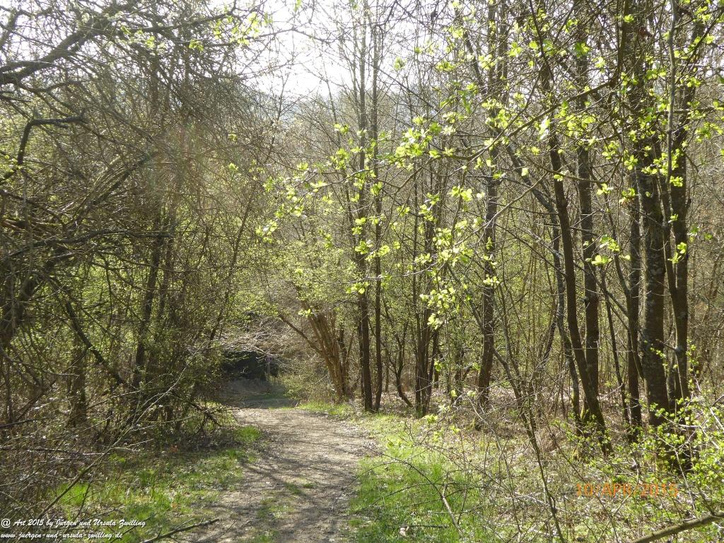 Philosophische Bildwanderung Traumschleife Rheingold