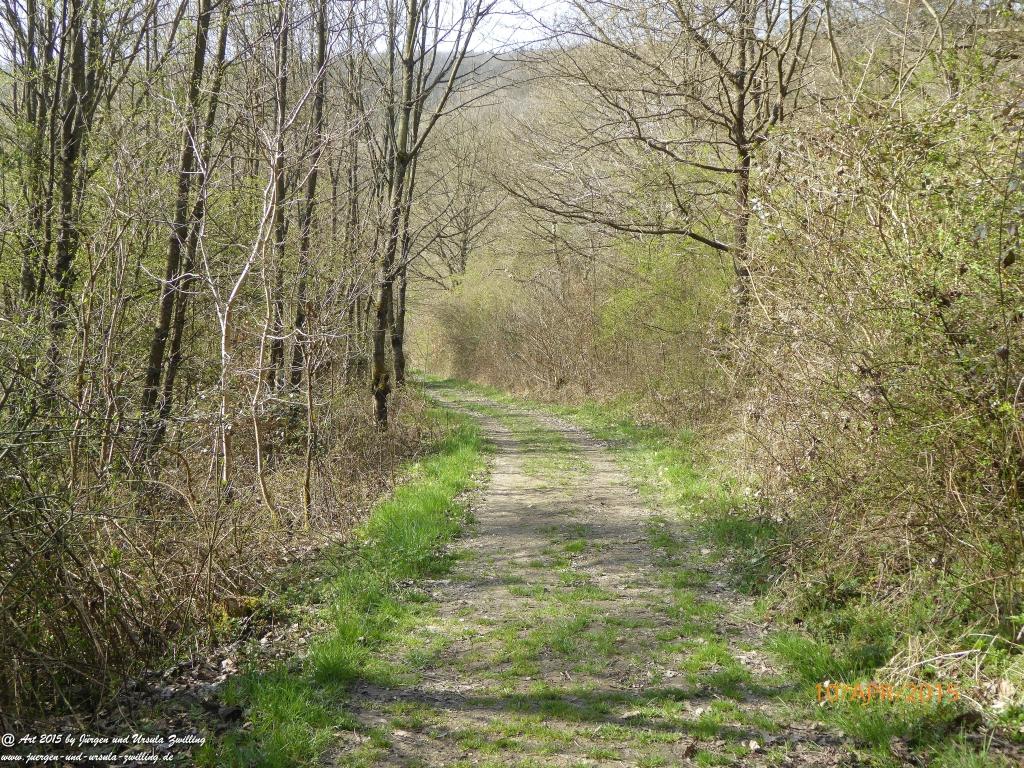 Philosophische Bildwanderung Traumschleife Rheingold