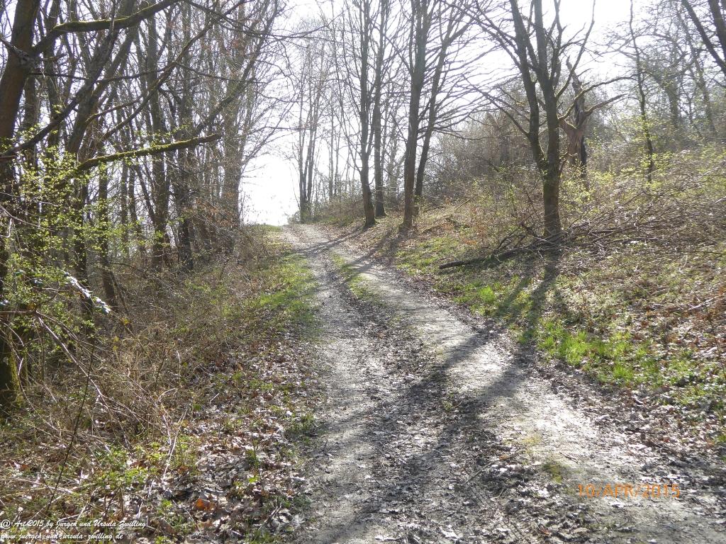 Philosophische Bildwanderung Traumschleife Rheingold