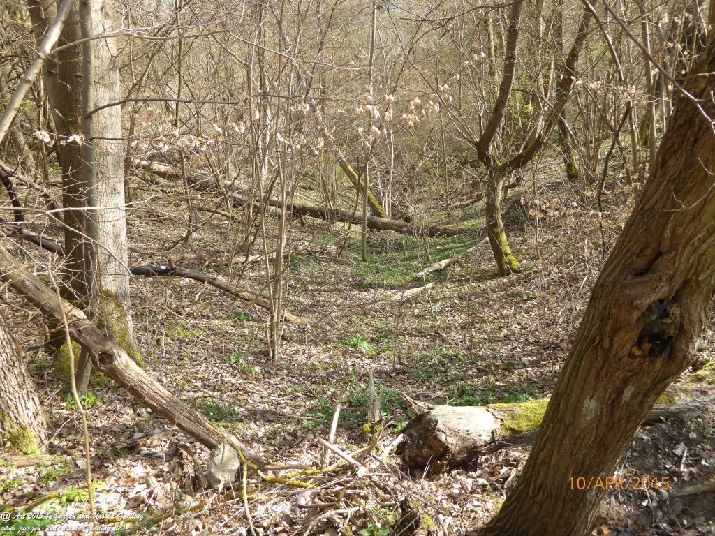 Philosophische Bildwanderung Traumschleife Rheingold