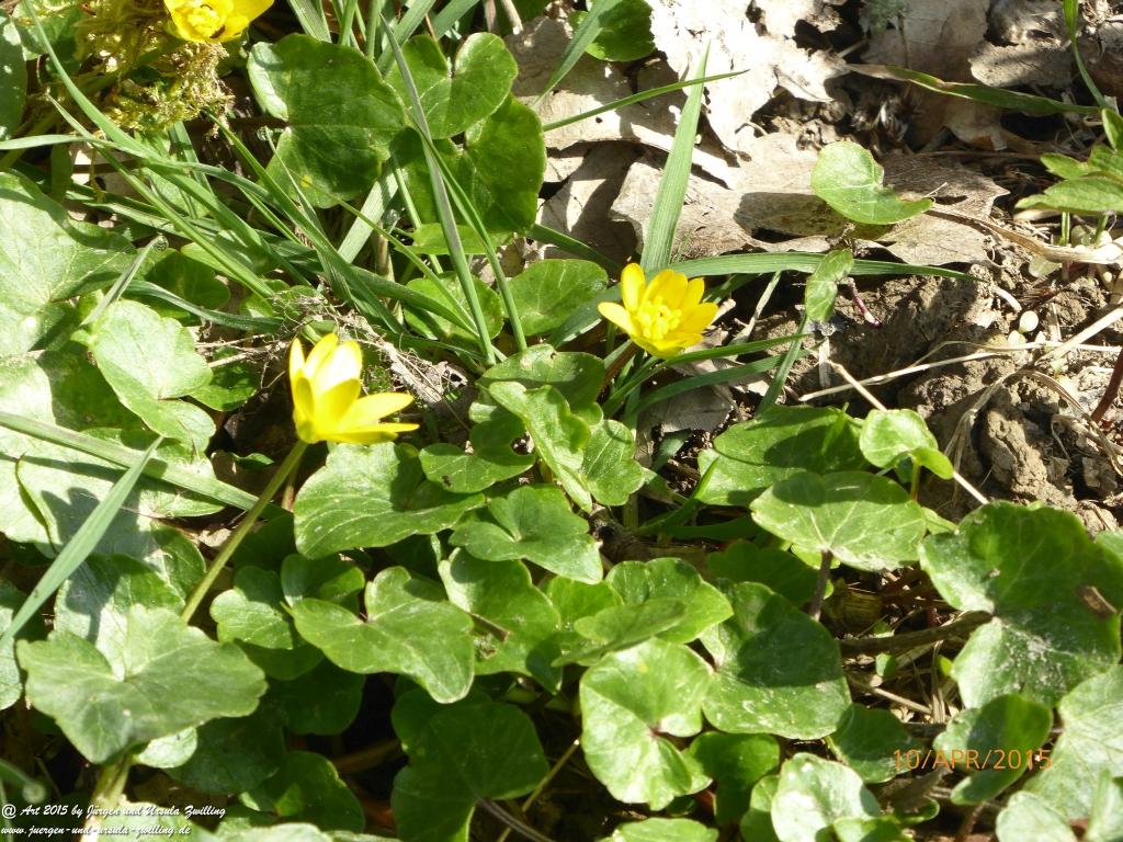 Philosophische Bildwanderung Traumschleife Rheingold