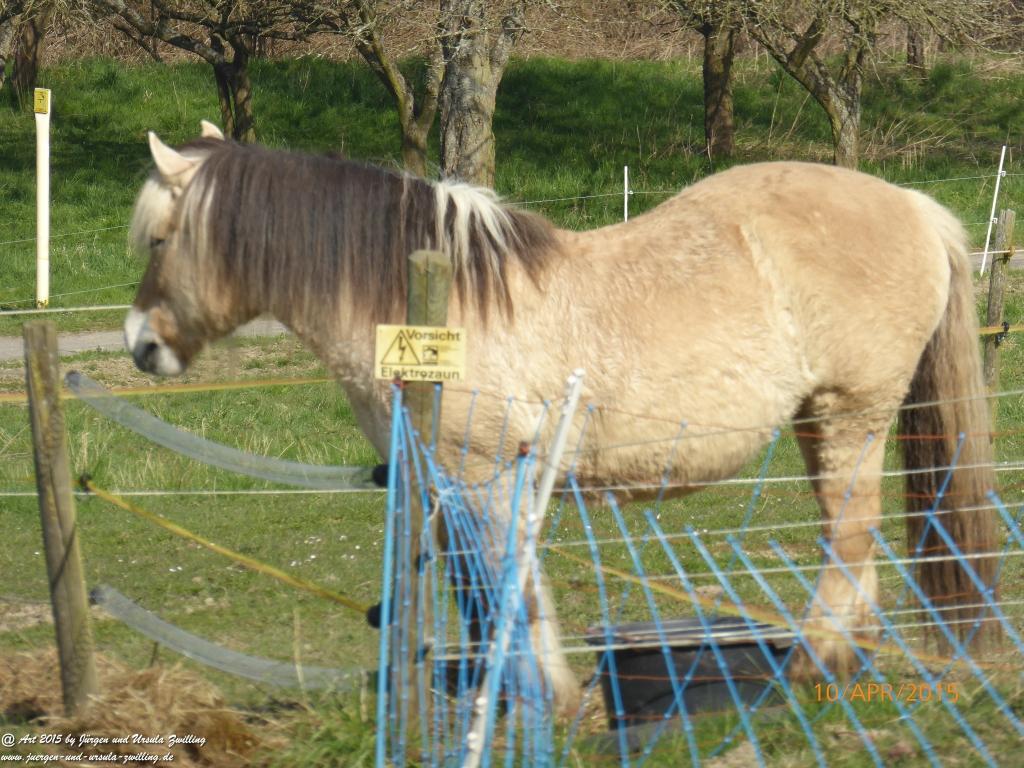 Philosophische Bildwanderung Traumschleife Rheingold