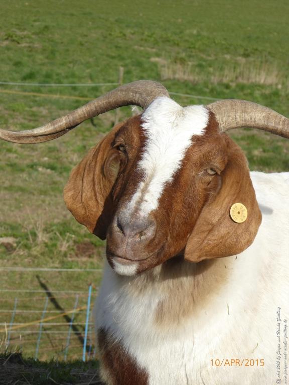 Philosophische Bildwanderung Traumschleife Rheingold