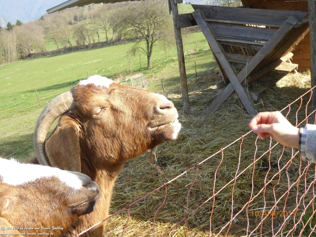Philosophische Bildwanderung Traumschleife Rheingold