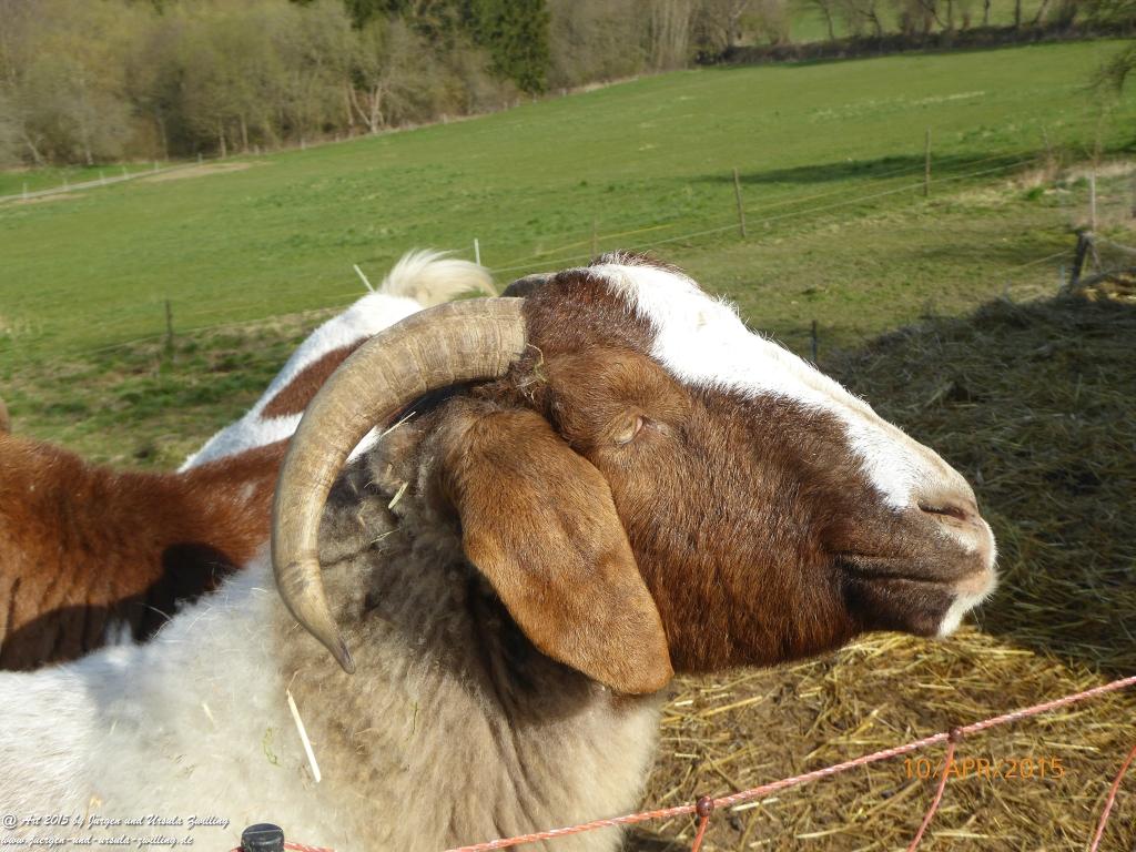 Philosophische Bildwanderung Traumschleife Rheingold