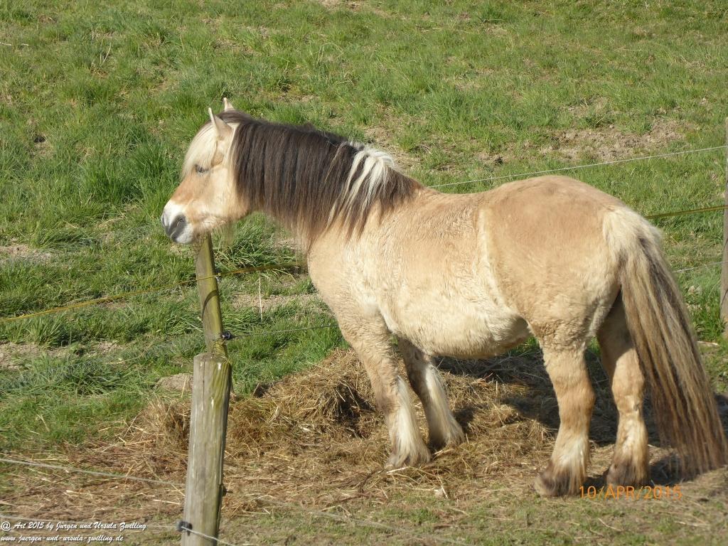Philosophische Bildwanderung Traumschleife Rheingold