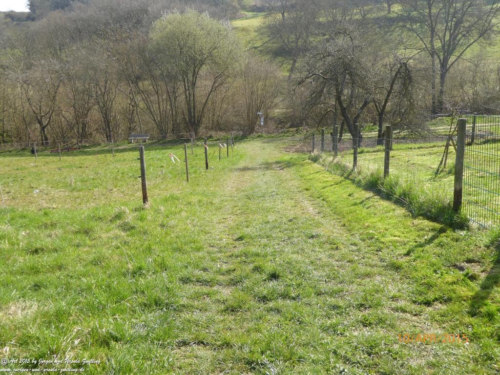 Philosophische Bildwanderung Traumschleife Rheingold