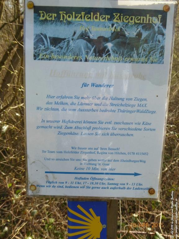 Philosophische Bildwanderung Traumschleife Rheingold