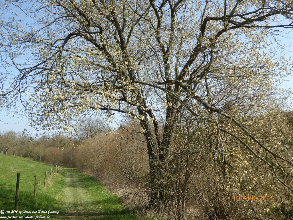Philosophische Bildwanderung Traumschleife Rheingold