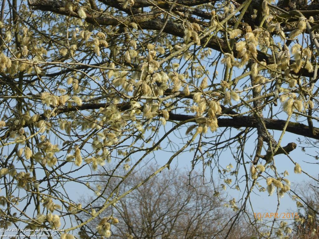 Philosophische Bildwanderung Traumschleife Rheingold