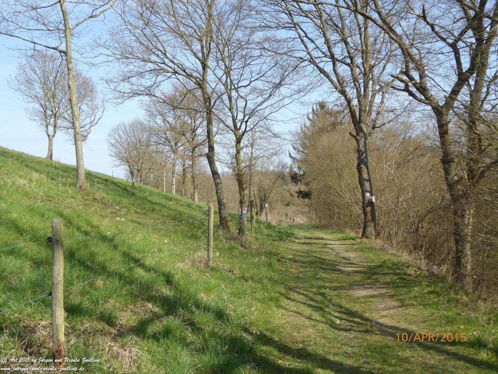 Philosophische Bildwanderung Traumschleife Rheingold