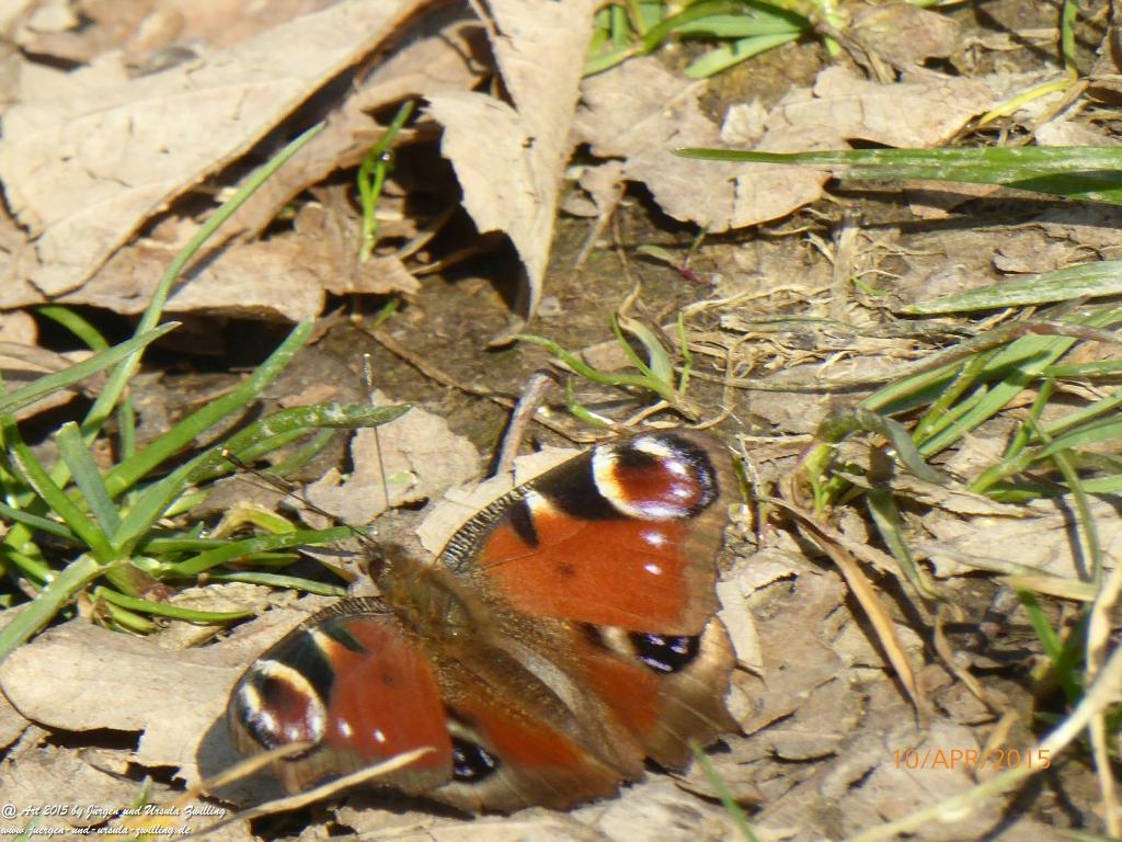Philosophische Bildwanderung Traumschleife Rheingold