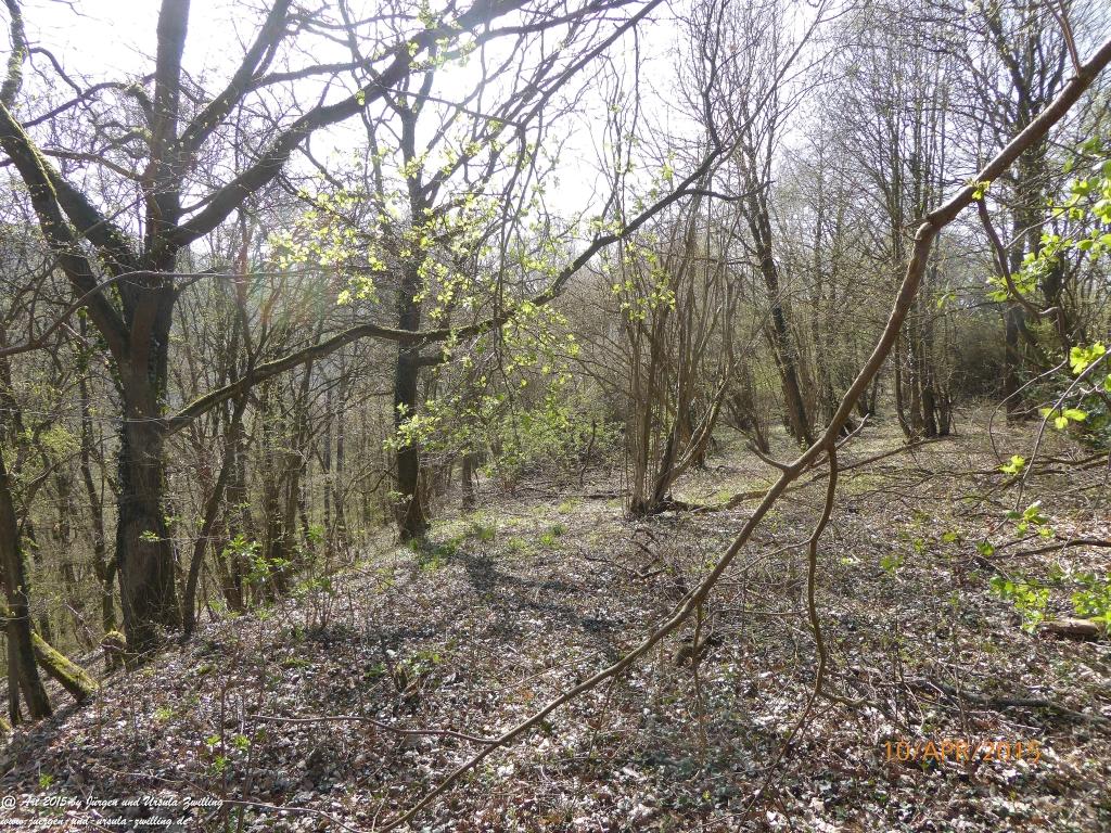 Philosophische Bildwanderung Traumschleife Rheingold