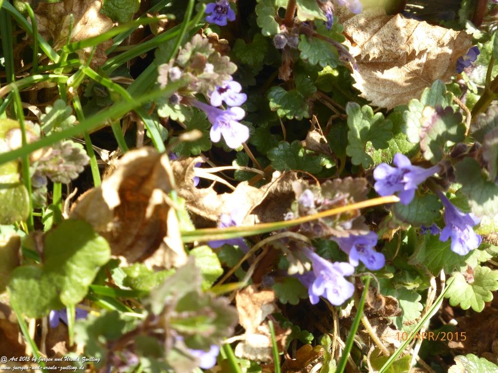 Philosophische Bildwanderung Traumschleife Rheingold