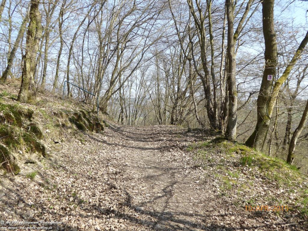 Philosophische Bildwanderung Traumschleife Rheingold