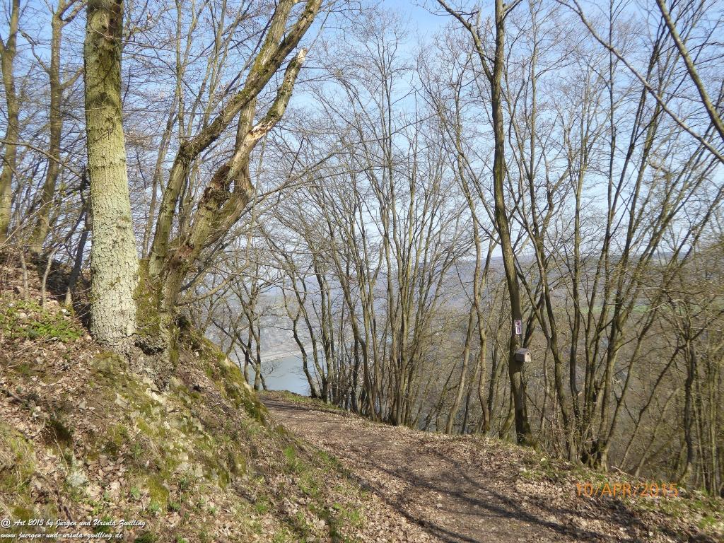 Philosophische Bildwanderung Traumschleife Rheingold