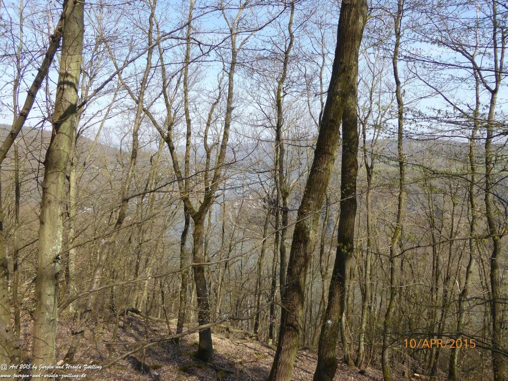 Philosophische Bildwanderung Traumschleife Rheingold