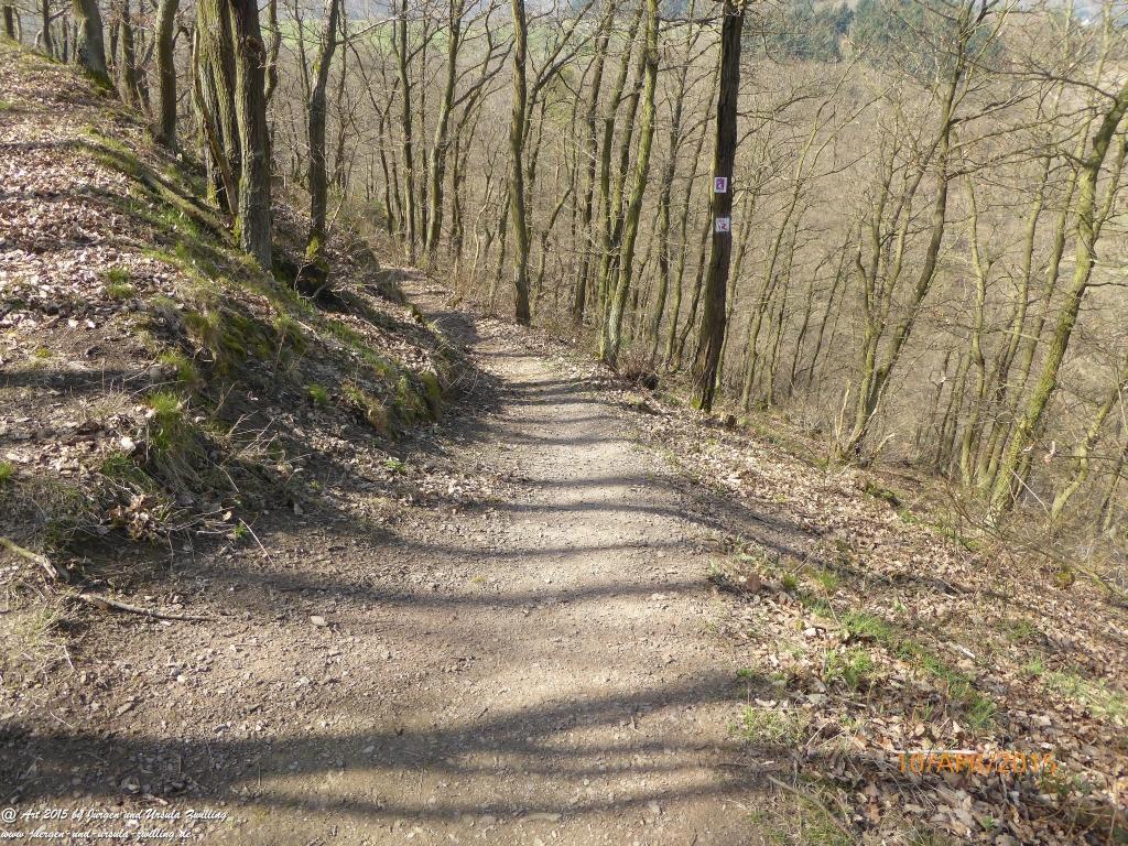 Philosophische Bildwanderung Traumschleife Rheingold