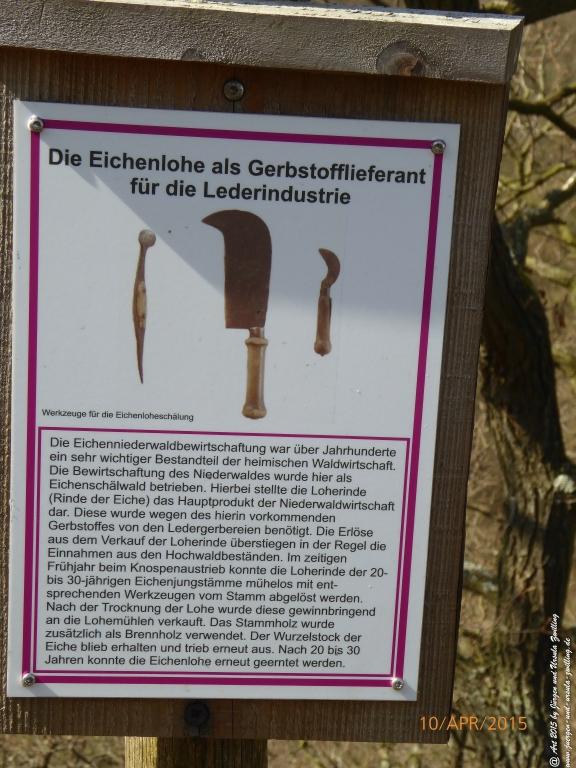 Philosophische Bildwanderung Traumschleife Rheingold