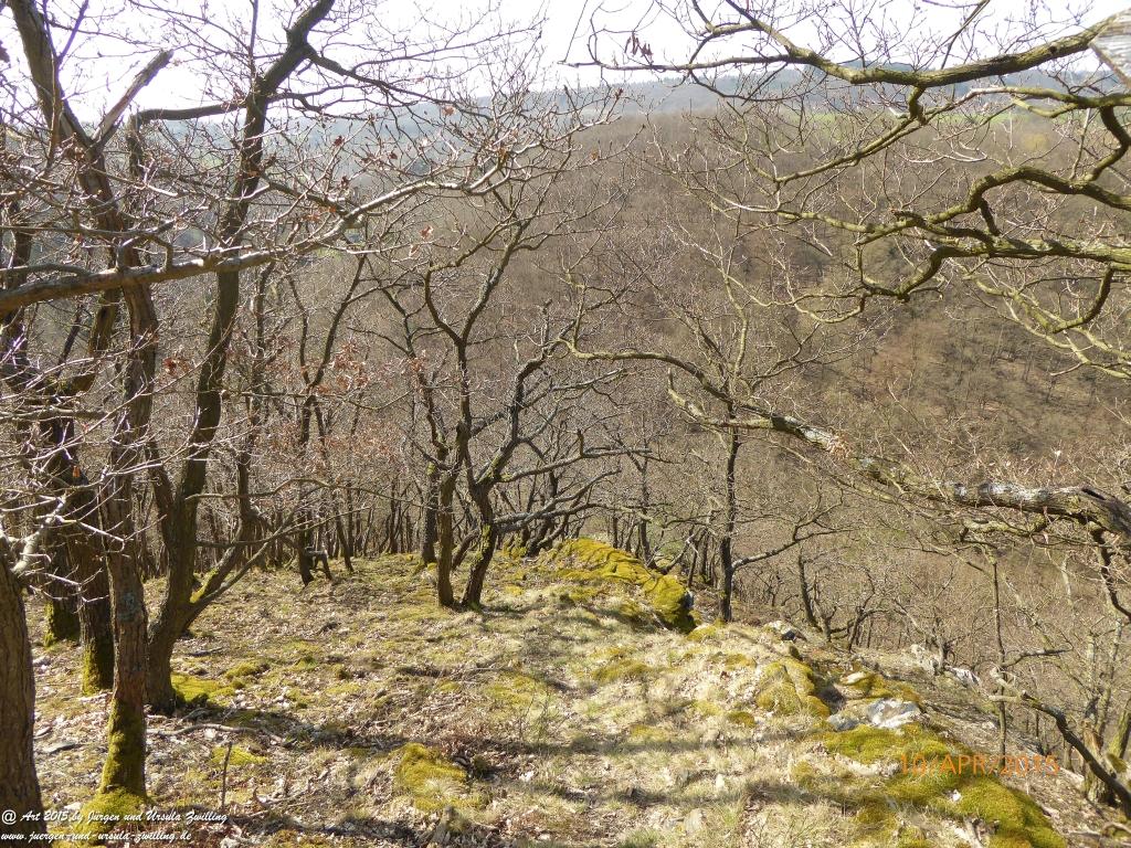 Philosophische Bildwanderung Traumschleife Rheingold