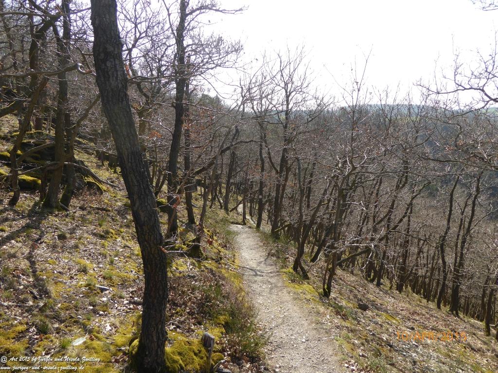 Philosophische Bildwanderung Traumschleife Rheingold